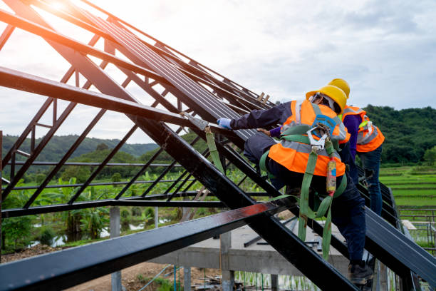 Roof Gutter Cleaning in Media, PA